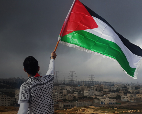 palestine flag COMMERCIAL