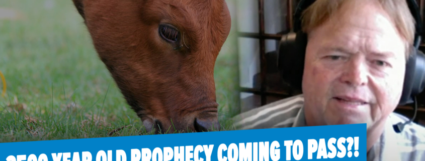 Red Heifer Discussion with Byron Stinson