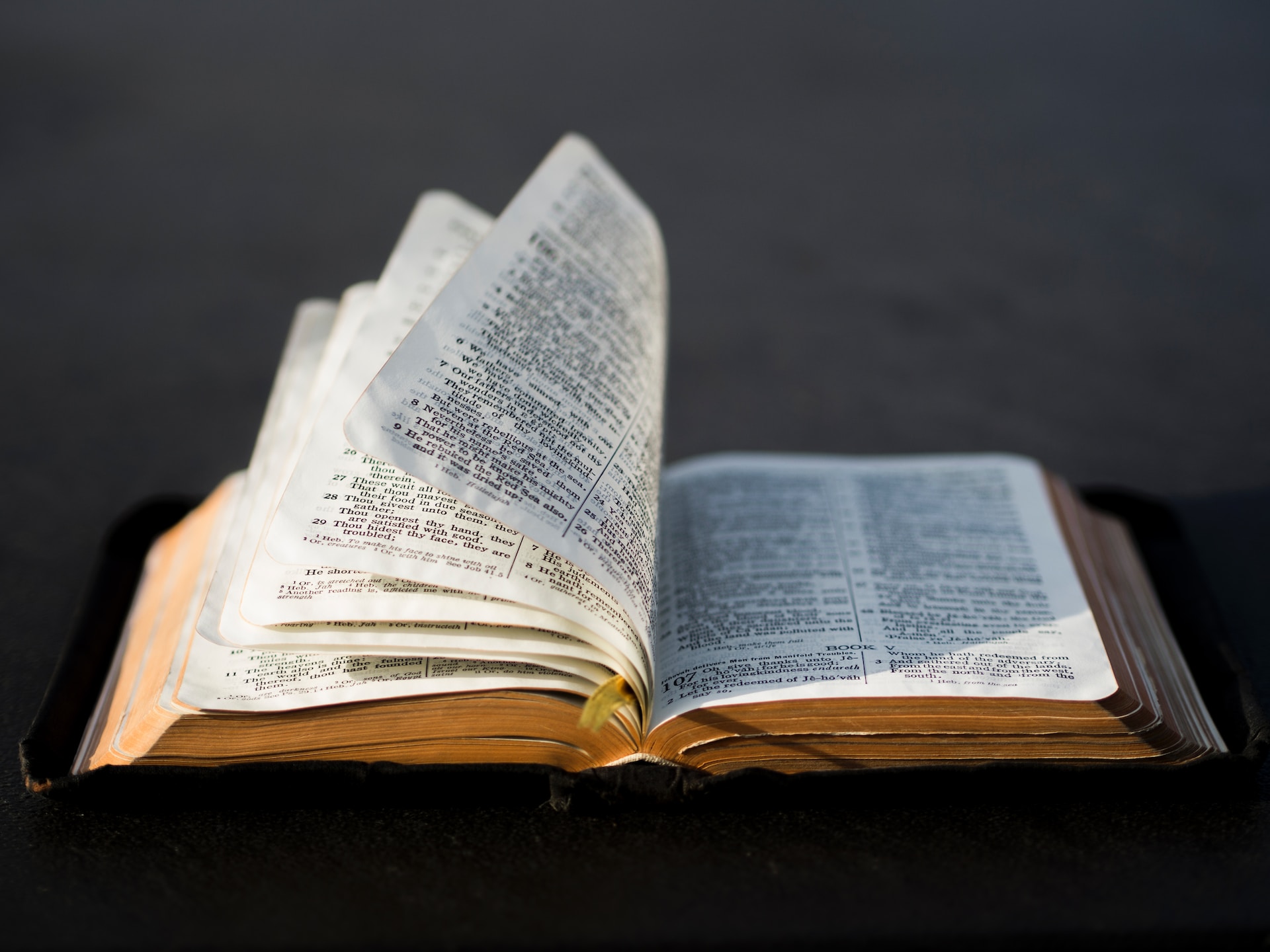 Bible banned in several Utah schools due to ‘vulgarity and violence’
