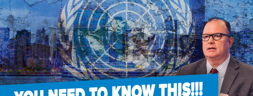 World Government 101