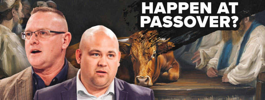 Red Heifer Ceremony in 11 Days?