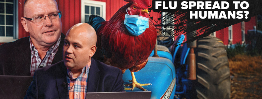 Bird Flu Crisis