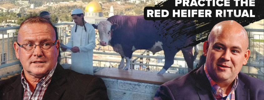 BREAKING: Red Heifer Ritual Practice Run