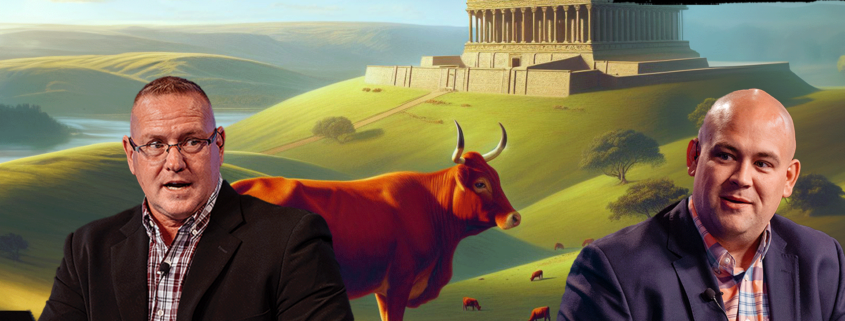 The Latest Red Heifer News
